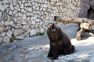 Similar image 21939018