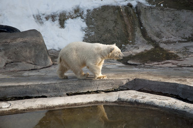 Similar image 21939032