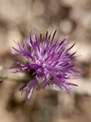 Similar image 21936090