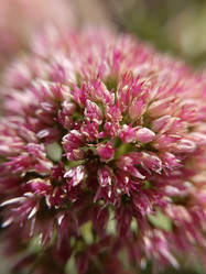 Similar image 21936091