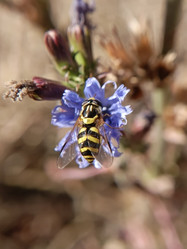 Similar image 21936092