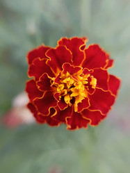 Similar image 21936093