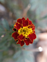 Similar image 21936094