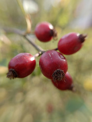 Similar image 21936097