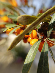 Similar image 21936098