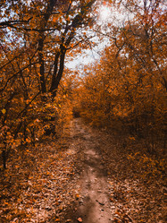 Similar image 21936099