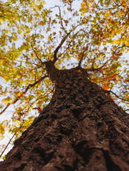 Similar image 21936100