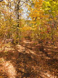 Similar image 21936101