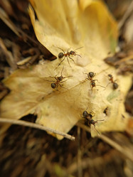 Similar image 21936102