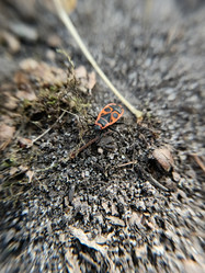 Similar image 21936104