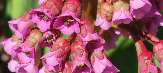 Similar image 21938256