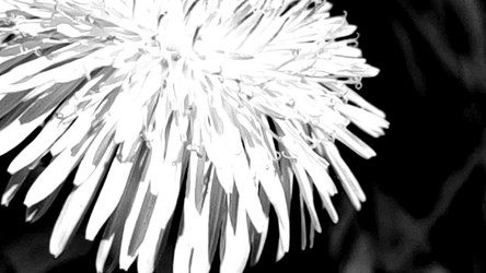 Similar image 21938261