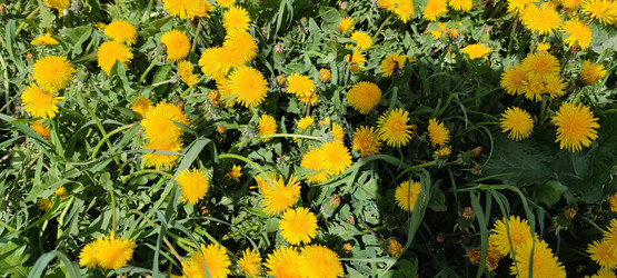 Similar image 21938263