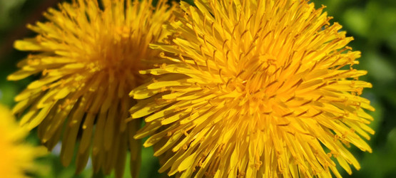 Similar image 21938265