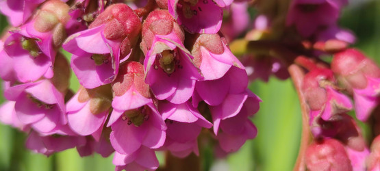 Similar image 21938273