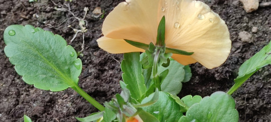 Similar image 21938275