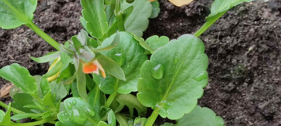 Similar image 21938277