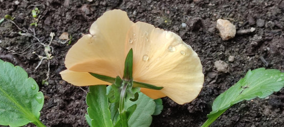 Similar image 21938279