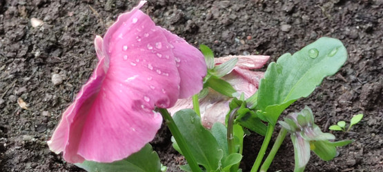 Similar image 21938281