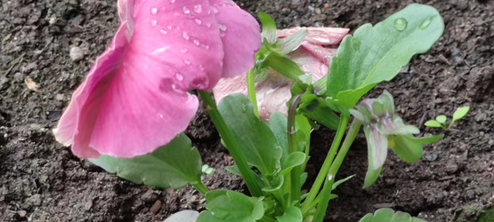 Similar image 21938283