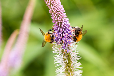 Similar image 21938643