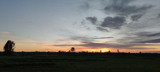 Similar image 21938539