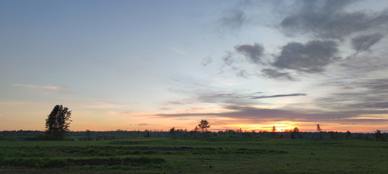 Similar image 21938548