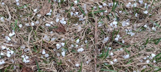 Similar image 21938550