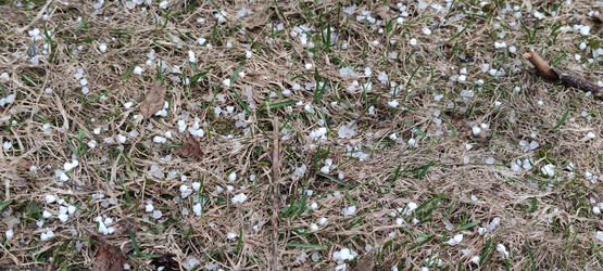 Similar image 21938552