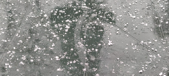 Similar image 21938554