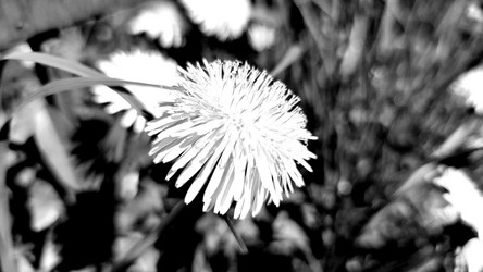 Similar image 21938564