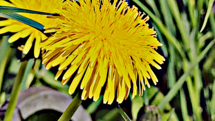 Similar image 21938566