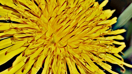 Similar image 21938568