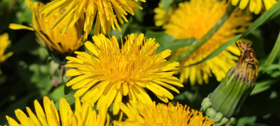 Similar image 21938569