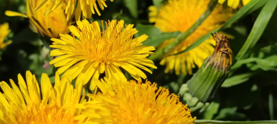 Similar image 21938571