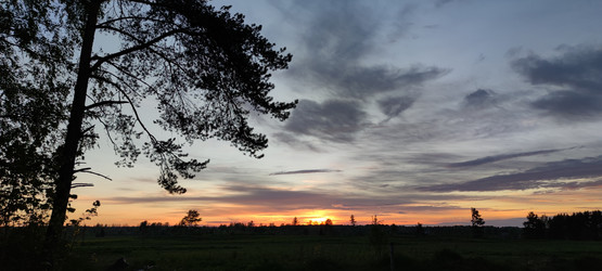 Similar image 21938572