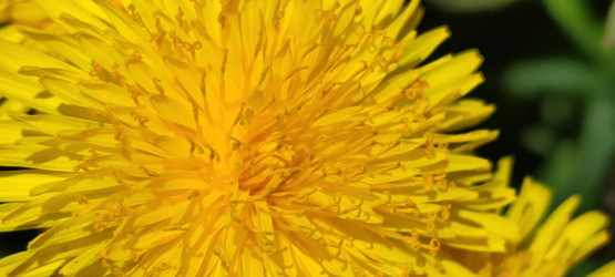 Similar image 21938573