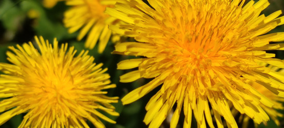 Similar image 21938575