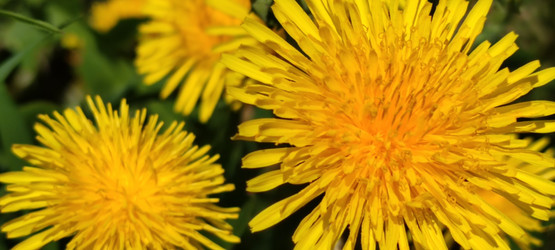 Similar image 21938577