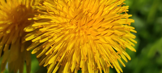 Similar image 21938578