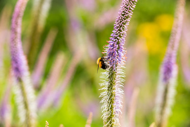 Similar image 21939037