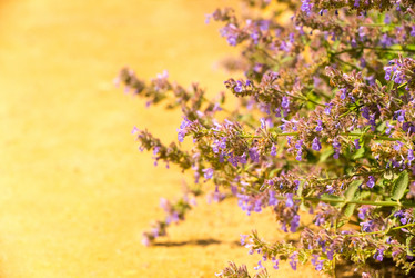 Similar image 21939039