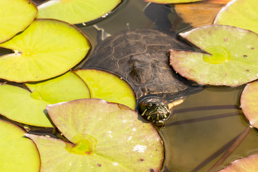 Similar image 21939042