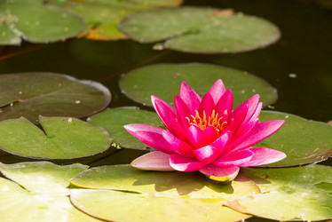 Similar image 21939125