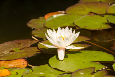 Similar image 21939137