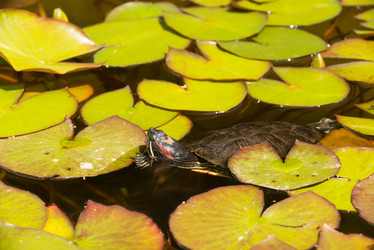 Similar image 21939145