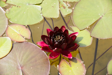 Similar image 21939148