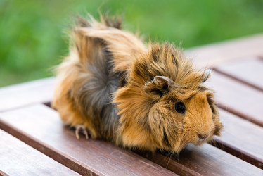 Similar image 21939152