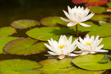 Similar image 21939153