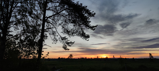 Similar image 21938304